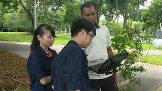 Landscape Management Technology  Landscape Courses at ITE College East [upl. by Yarod391]