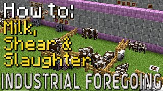 How to Industrial Foregoing  Husbandry Minecraft 1201 [upl. by Etnuahc]