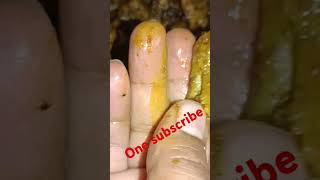 Eating chicken feet viralvideo shortvideo [upl. by Dloreh]