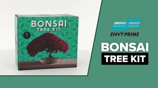 Bonsai Starter Kit Tutorial Video [upl. by Mita]