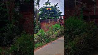 Kakori chauraha song beauty of nature 🌿🍃 explorethebeautyofnature [upl. by Krysta]