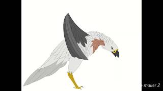 white tailed kite speedpaint [upl. by Eirised354]