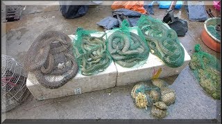 Foshan Street Market near Guangzhou China  Snakes Frogs and more [upl. by Aillicec]