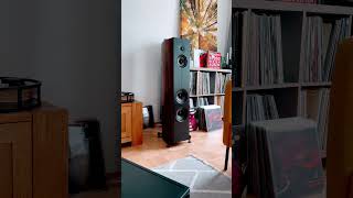 Corinium in Action Aus der neuen Welt Live Original Sound schallplatten hifi highend [upl. by Meris]