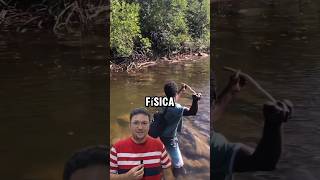 Física da pesca shorts Física [upl. by Nirrej]