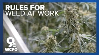 How does Ohios new cannabis law impact employees [upl. by Panthia]