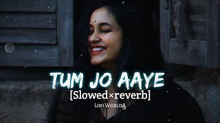 Tum jo Aaye Lofi Slowed  Reverb  Rahat Fateh Ali Khan  Lofi WorldA [upl. by Stormy]