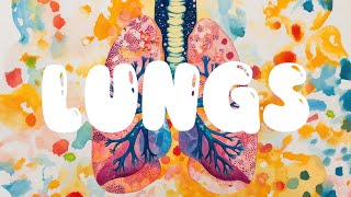 🎵 Lungs Working For You  Fun and Educational Song for Kids  🫁 Lungs Song 🎵 [upl. by Sibilla]