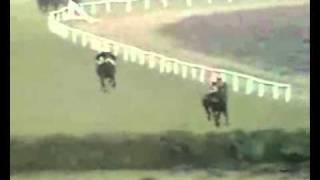 Red Rum Winning The 1973 Grand National [upl. by Eniarrol]