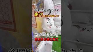 知らないと絶対に後悔します‼️ufoキャッチャー ゲームセンター ゲーセン ちいかわ clawmachine [upl. by Amador696]