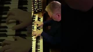 Stephen Tharp plays REGER [upl. by Kcirddec]