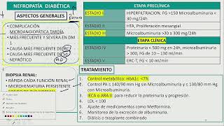 Nefropatia diabetica [upl. by Doe]