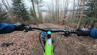 Waldkirch Trail im Februar 2024 Ü65 EMTB [upl. by Ettesus]