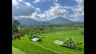 Jatiluwih rice terraces september 2024 [upl. by Lekym624]