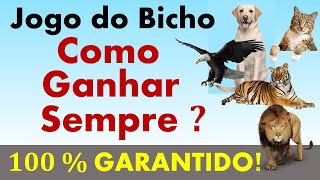 Como Ganhar Sempre no Bicho  Excelente Técnica [upl. by Prochoras]