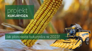 Jak plonowała kukurydza 2023 [upl. by Aubin251]