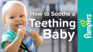 Baby Teething Remedies How to Soothe a Teething Baby  Pampers [upl. by Acirehs]