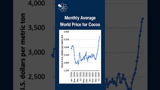 Economics News  Cocoa Prices Surge to 40 Year High [upl. by Nole]