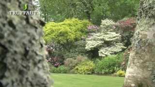 Les plantes de terre de bruyère  conseils dun producteur  Truffaut [upl. by Sclater]