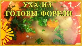 Уха из головы форели в кастрюле Как приготовить быстро полезно пошаговый рецепт [upl. by Ordnasela153]