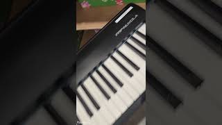 Roland FRPNUVOLA Digital Piano Display at Costco [upl. by Nylrahs]