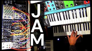 EBM Synthesizer DAWless jam Behringer Odyssey Moog Grandmother Arturia Microfreak Modular Monopoly [upl. by Stevena]