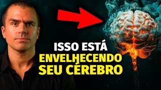 10 fatores que ENVELHECEM SEU CÉREBRO [upl. by Madelyn]