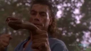 Top 10 JeanClaude Van Damme Moments [upl. by Bandler]