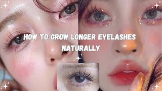 How to Grow Longer Eyelashes Naturally in Just One Week  Top Tips for Fuller Lashes longlashes [upl. by Denver445]