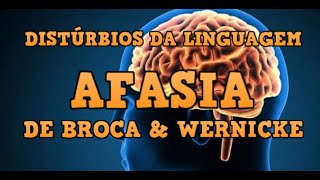 Distúrbios da Linguagem  Afasia de Broca amp Wernicke [upl. by Yelra908]