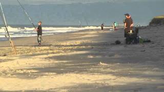 Beach Fishing for Snapper Whakatane [upl. by Leziar]