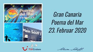 Gran Canaria Poema del Mare Aquarium [upl. by Lihp]