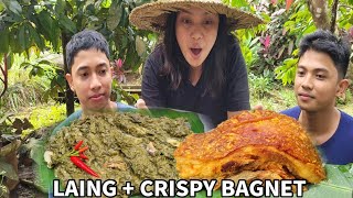 CRISPY BAGNET AT SPICY GINATAANG LAING [upl. by Disini]