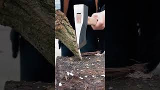 Wood chopping process with an axe goodtools to share [upl. by Alusru620]