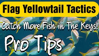 Yellowtail Snapper Fishing in the Keys  TIPS YOU NEED TO WATCH [upl. by Ema706]