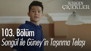 Songül ile Güney taşınma telaşı  Kırgın Çiçekler 103 Bölüm [upl. by Anelahs906]