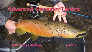 Advanced Streamer Fishing with Kelly Galloup Part 1 [upl. by Korff]