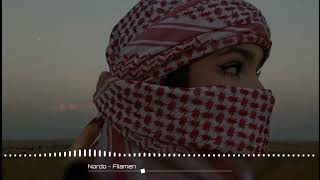 Nordo  Filamen  Best Arabic Music  New Arabic Remix Songs [upl. by Nonrev]