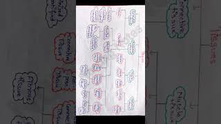 Tissues  Anatomy and Physiology  tissue anatomy physiology nursing education notes [upl. by Odey]