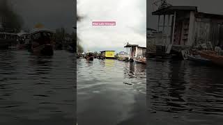 Dal Lake Srinagar trending viral youtubeshorts sikara bollywood song hindisong [upl. by Deragon]