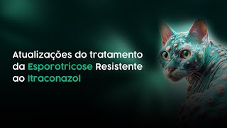 Atualizações do tratamento da Esporotricose Resistente ao Itraconazol  Dr Wal [upl. by Ynnek]