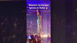 ‘Bailamos’ by Enrique Iglesias in Dubai 2024 Live Concert 😍 shorts youtubeshorts trending [upl. by Yrrac106]