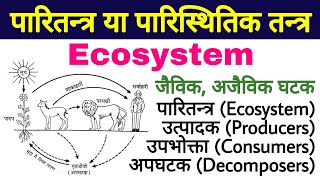 Ecosystem in OneShot  Fast Track Series for NEET 2023  Seep Pahuja [upl. by Allen]