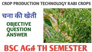 CROP PRODUCTION TECHNOLOGY RABI CROPS चना की खेती BSC AG 4 TH SEMESTER [upl. by Annoik]