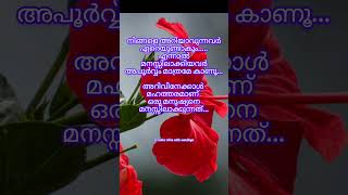 malayalamqoutes CreativeVibesxl9qx [upl. by Icaj]