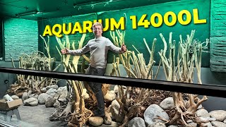 C’est la galère je commence le décor  Aquarium de 14000 Litres 15 tonnes de roches [upl. by Peyter]