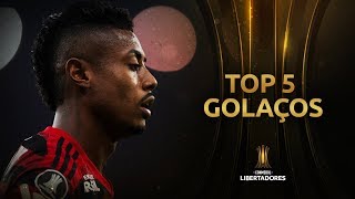 Top5  Golaços do Flamengo na Libertadores 2019 [upl. by Irfan]