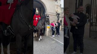 A happy family 🥰❤️ royalhorseguard viralvideo horse shorts tiktok history london united [upl. by Alick]