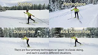 Four Basic Classic Ski Techniques Explained [upl. by Parthenia]