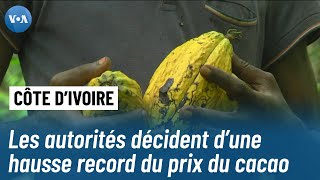 Le prix du cacao flambe en Côte dIvoire [upl. by Statis768]